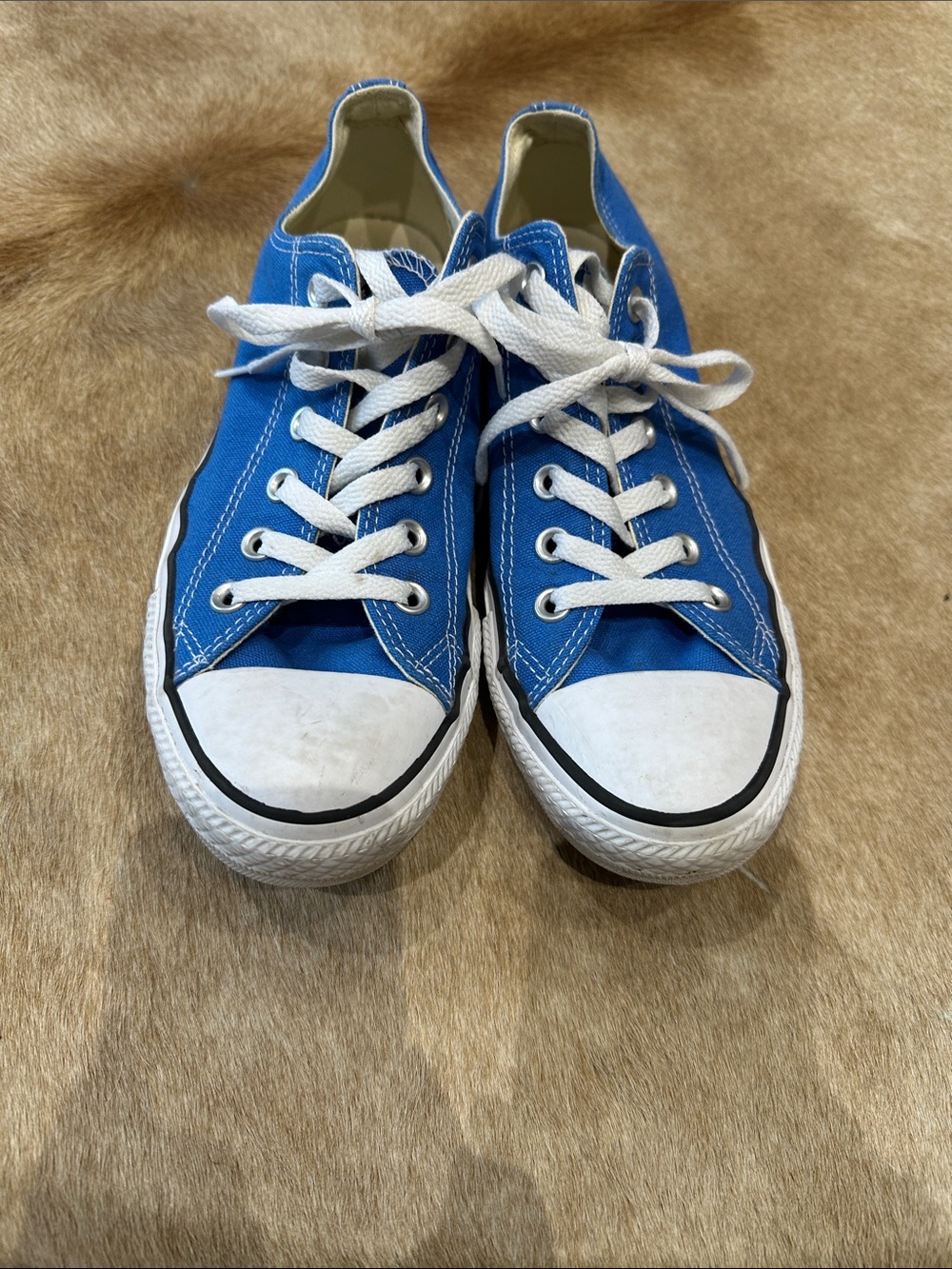 Converse Blue Canvas Low-Top Sneakers with White Accents - Picture 2 of 6